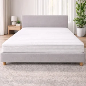 Saltea Economy Comfort 13cm (RLX7)